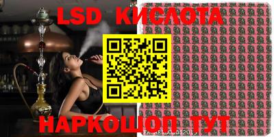 молекула духа Кингисепп
