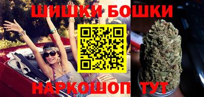 молекула духа Кингисепп