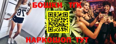 молекула духа Кингисепп