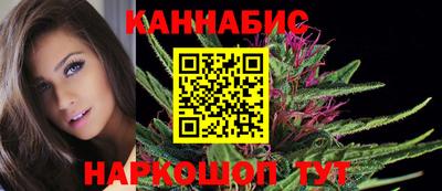 молекула духа Кингисепп