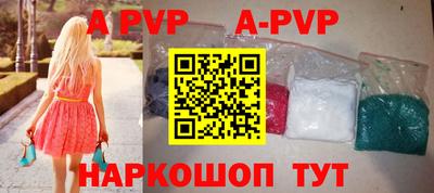 молекула духа Кингисепп