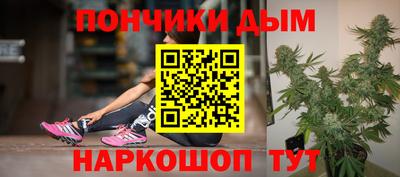 молекула духа Кингисепп