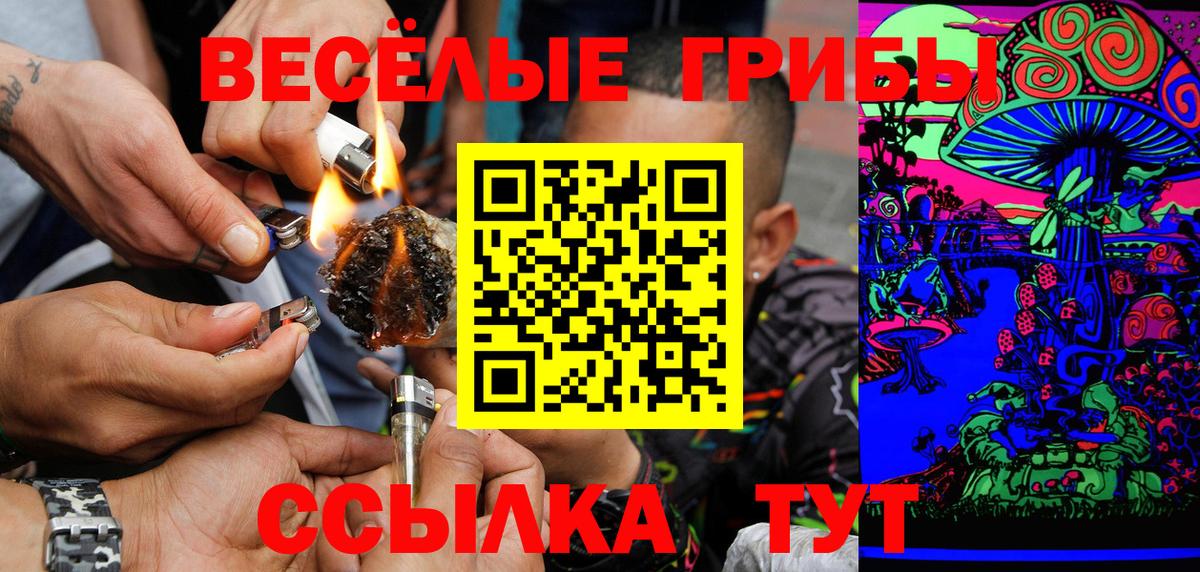 Коряжма  Галлюциногенные грибы прущие грибы  Вход с VPN 