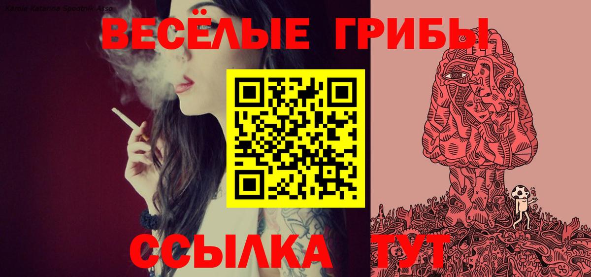 Галлюциногенные грибы MAGIC MUSHROOMS Коряжма